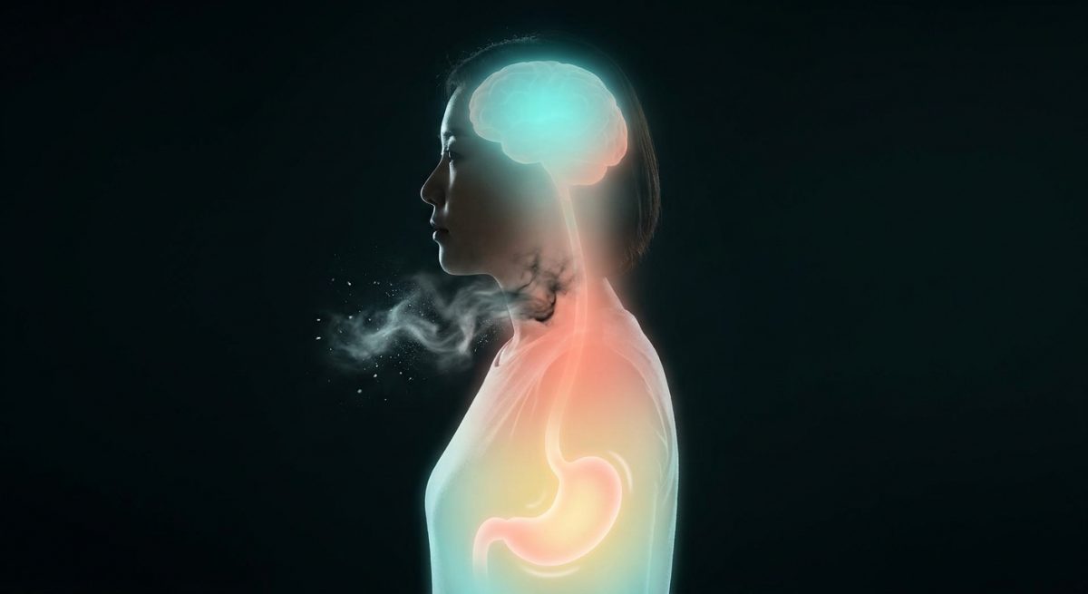 복잡한 의학 기전(뇌-장 축)의 감각적 시각화