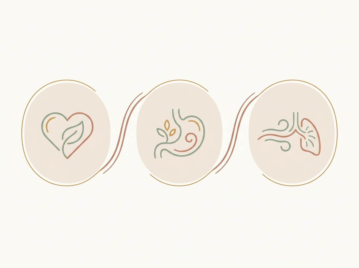 차분한 심장, 건강한 위, 깊은 호흡을 상징하는 아이콘이 둥근 패널과 부드러운 곡선으로 연결되어 신체 증상 완화를 표현한 인포그래픽 이미지